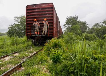 Bolsa de trabajo para obras de Tren Maya contará con 800 vacantes