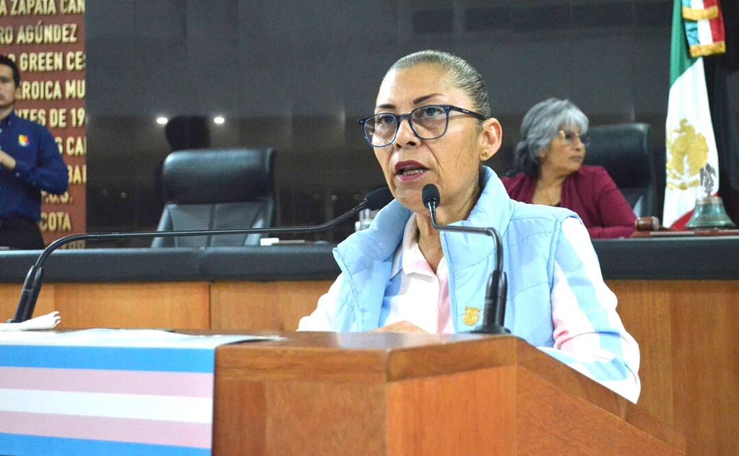 Diputada María Guadalupe Moreno (Morena). Foto: Especial