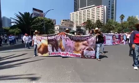 Marchan más de 5 mil personas a favor de la tauromaquia y peleas de gallos