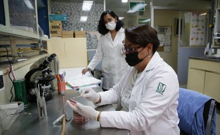 Abre IMSS primera licitación pública para uso de sus patentes