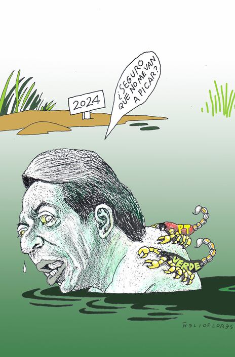 Cartón de HELIOFLORES