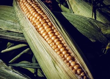 Este es el alimento ancestral que contiene magnesio y mejora la salud digestiva