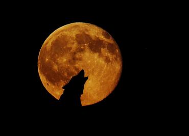 Cuándo se verá la Luna de Lobos en CDMX