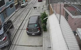 Sujetos intentan secuestrar a joven colombiana en Pachuca; agentes de Seguridad Pública del estado lo evitan