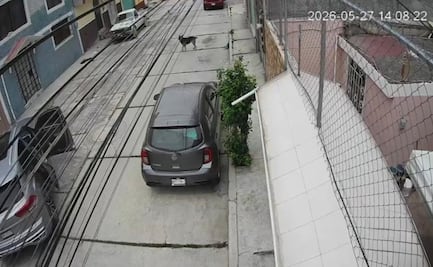 Sujetos intentan secuestrar a joven colombiana en Pachuca; agentes de Seguridad Pública del estado lo evitan