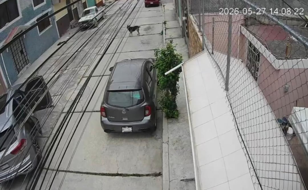 Agentes de Seguridad Pública de Hidalgo rescatan a una joven de origen colombiano que momentos antes había sido interceptada y obligada a subir a una camioneta. | Foto: Especial.