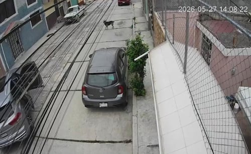 Mexican Security Forces Foil Attempted Kidnapping of Colombian Woman in Pachuca