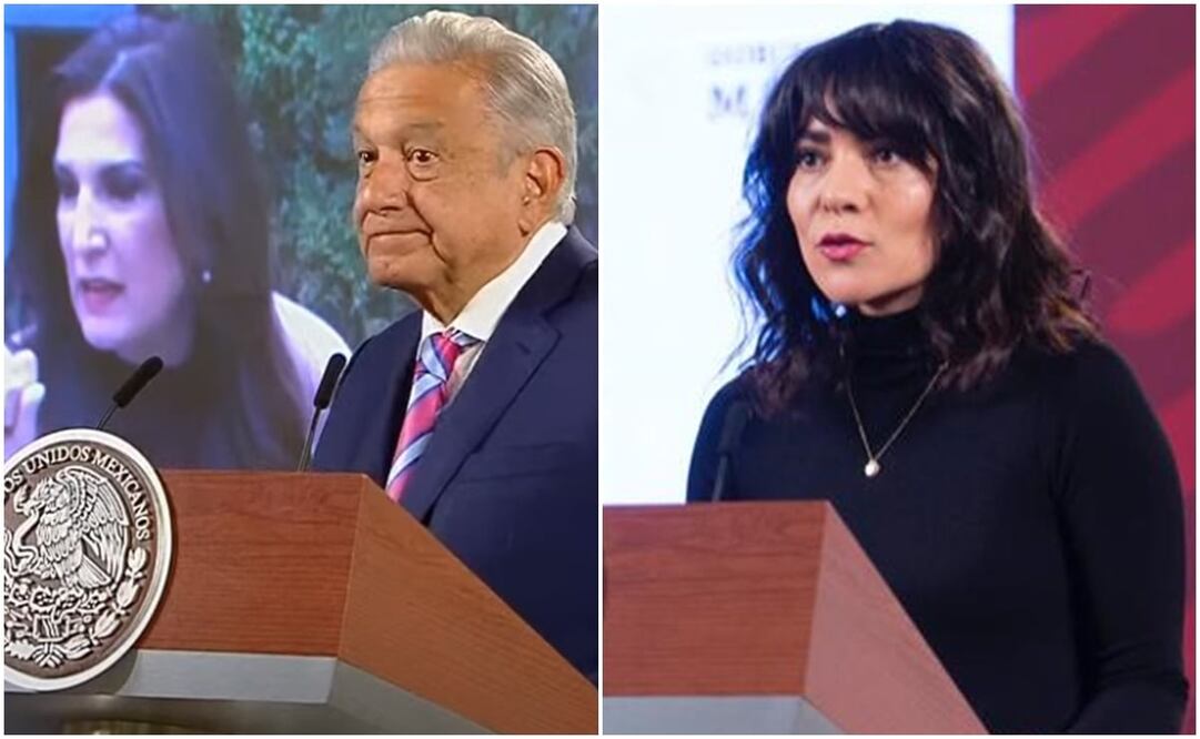 "¡Ver para creer, lo que dijo es verdad, aunque sea falso!", expresó García Vilchis. Foto: Captura de pantalla- Presidencia 