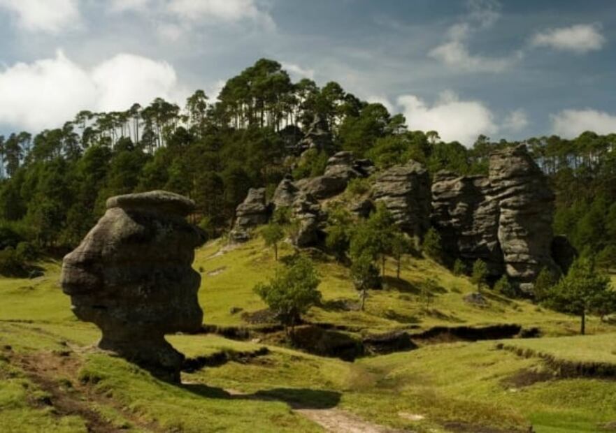 Conoce estas cabañas ecológicas inspiradas en mujeres, en un bosque de Puebla