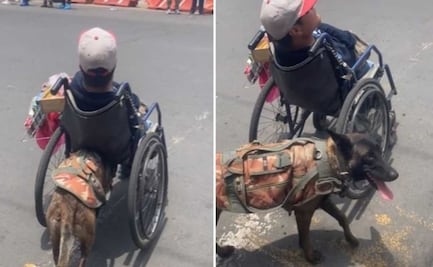Perrita se viraliza por empujar silla de ruedas de su amo para vender dulces 
