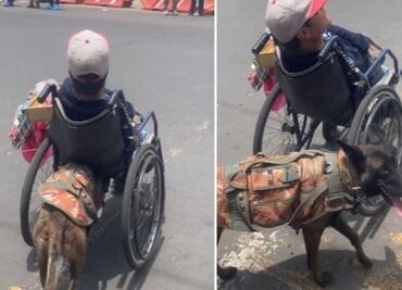 Perrita se viraliza por empujar silla de ruedas de su amo para vender dulces