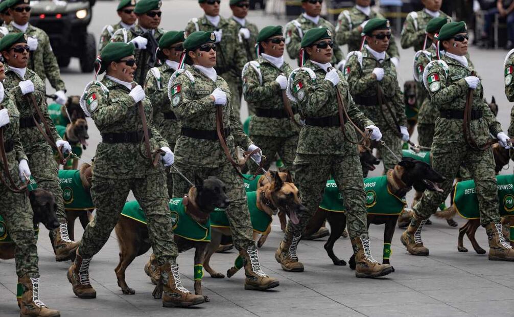 Binomios caninos en el Desfile Cívico Militar 2025. Foto: Hugo Salvador/ EL UNIVERSAL
