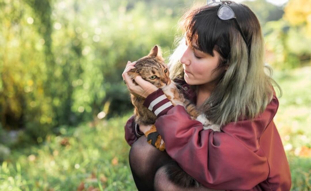 Entender las señales de tu gato refuerza la confianza mutua. Fuente: Freepik.