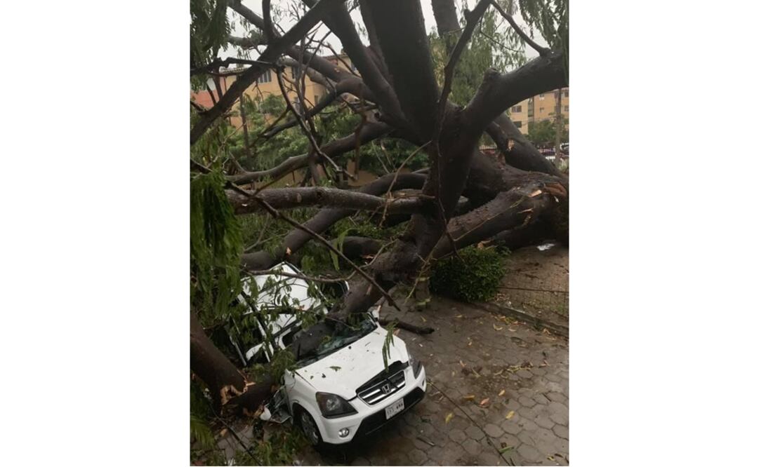 Foto: Protección Civil Oaxaca