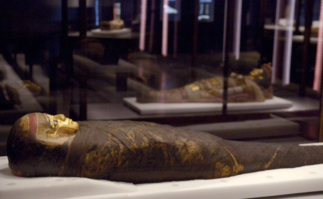 Con la historia de la Momia explico el uso de los materiales para la conservación de los cuerpos. (FOTO: Archivo/EL UNIVERSAL)