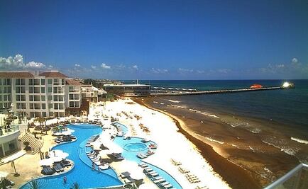 Sargazo, la pesadilla vuelve a Cancún y afecta a otras playas 