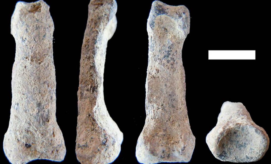 Nuestra mano cambió: se modificaron los pulgares, se ensancharon los dedos o se enderezaron las falanges. Foto: Nature