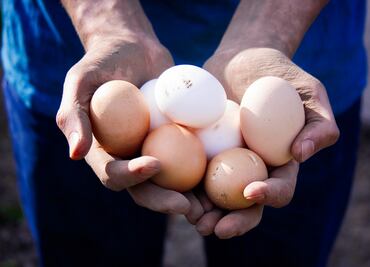 Consumir huevo es muy beneficioso para la salud