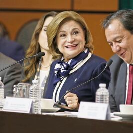 “Se verifican bienes de Lozoya y Robles”