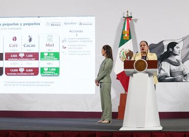 Gobierno federal va por infraestructura para transformar granos y miel; anuncian procesadoras de frijol, harina y chocolates del Bienestar