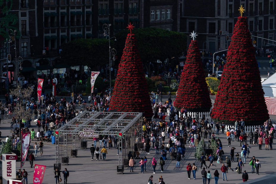 El Festival de Luces de Invierno llena la Plaza de la Constitución con esculturas luminosas y túneles de luz.

Foto: Secretaría de Cultura CDMX