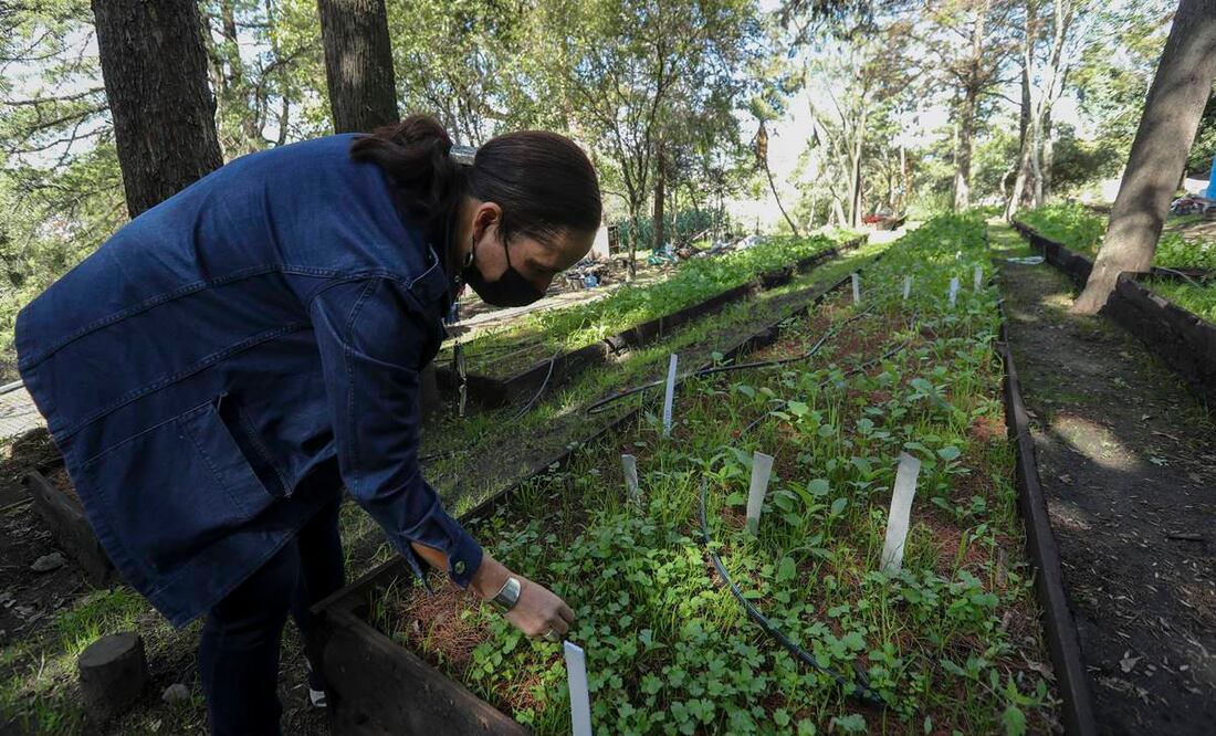 Imagen ilustrativa. Foto: Archivo/EL UNIVERSAL