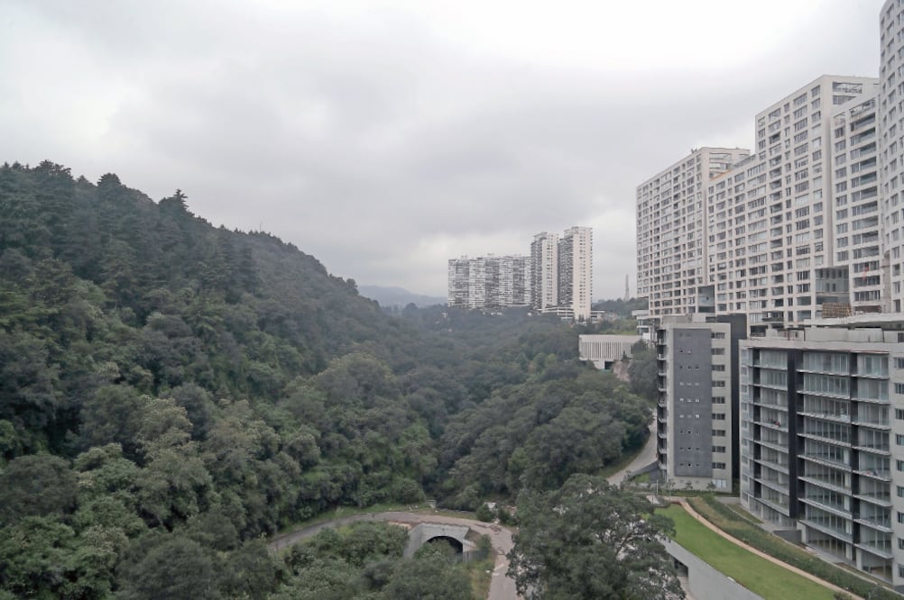La zona en la que el gobierno capitalino pretende construir abarca 20% de las más de 267 hectáreas. En 2009 en la administración de Marcelo Ebrard fue declarada Área de Valor Ambiental para evitar su urbanización (Fotos: ALEJANDRO ACOSTA)
