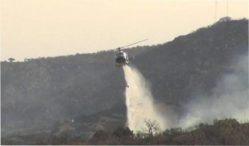 Controlan incendio en el Cerro del Muerto en Aguascalientes