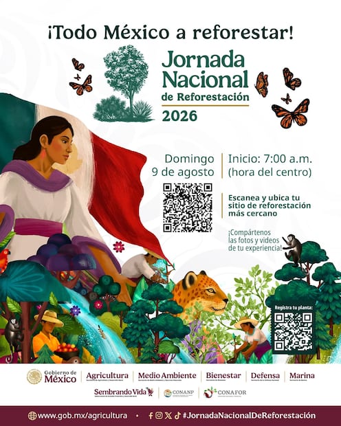 Alistan Jornada de Reforestación 2026 en México (07/08/2026). Foto: Especial