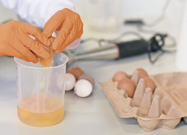 Ovoproductos, el huevo en la era moderna