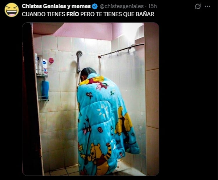 Los mejores memes que dejó el Frente Frío 29. Foto: Redes sociales