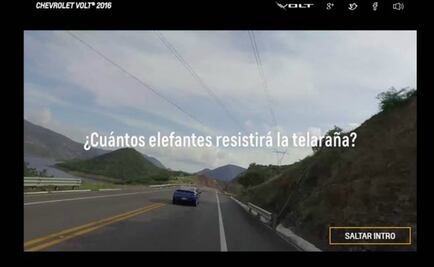 Video: nunca un vehículo resistió tantos elefantes