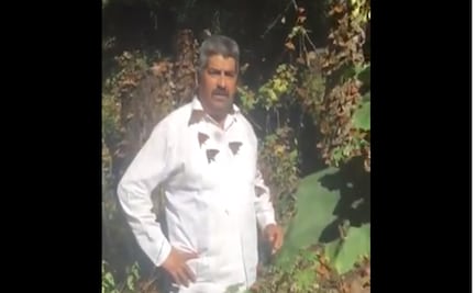 AMLO lamentó la muerte del activista que protegía a la mariposa monarca