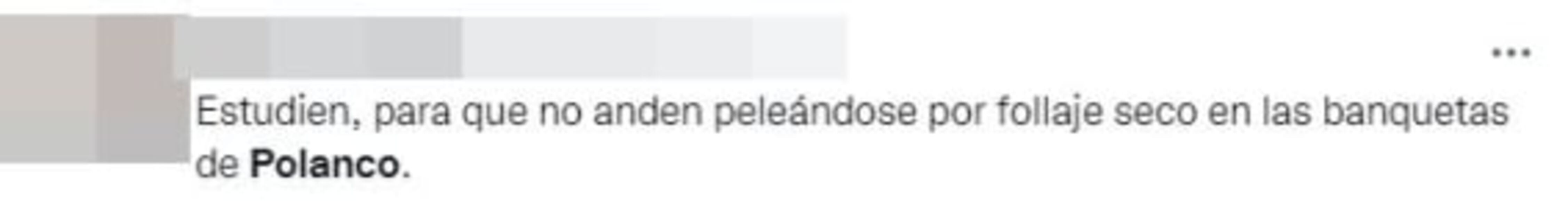 Critican a asistentes por llevarse flores de festival en Polanco