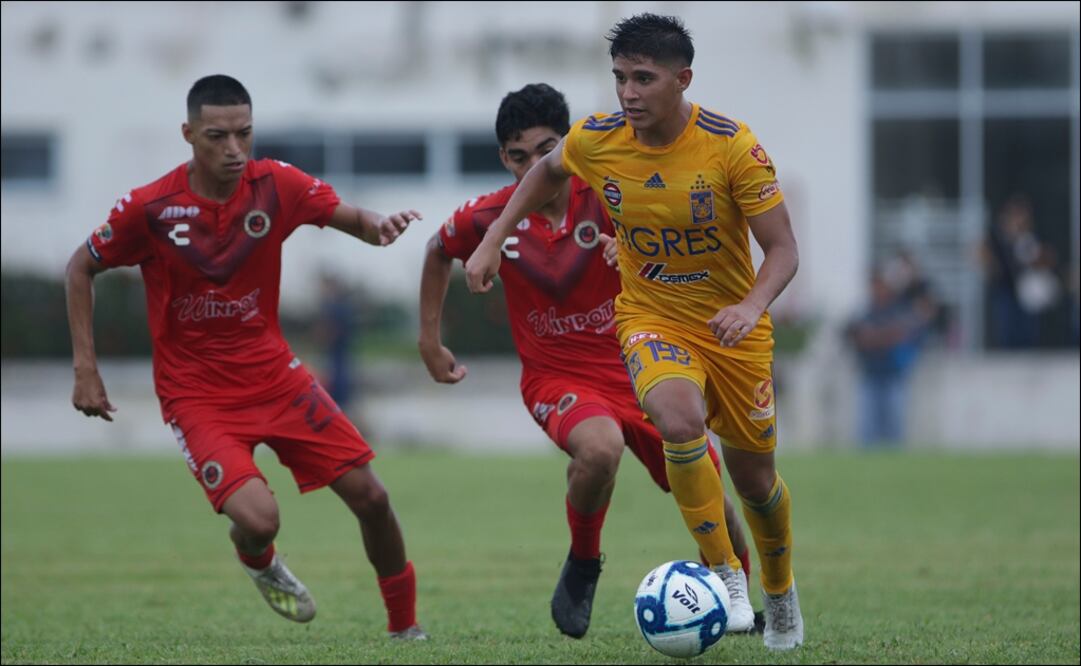 Categoría Sub-20 de Veracruz y Tigres. Foto: Imago 7