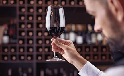 Día del Sommelier: 6 talentos mexicanos del vino que debes conocer
