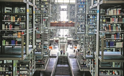 Reglamento y amparos atoran Ley de Bibliotecas