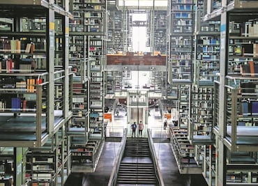 Reglamento y amparos atoran Ley de Bibliotecas