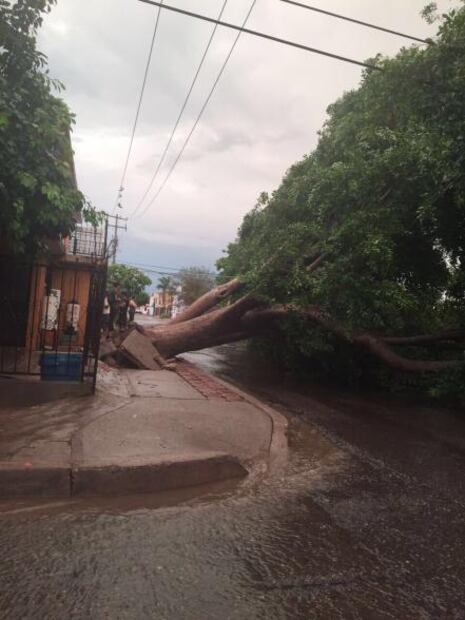 Escenas que parecen de diluvio en Hermosillo. Fotos y videos