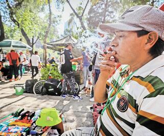 Ley de cannabis avanza en el Senado