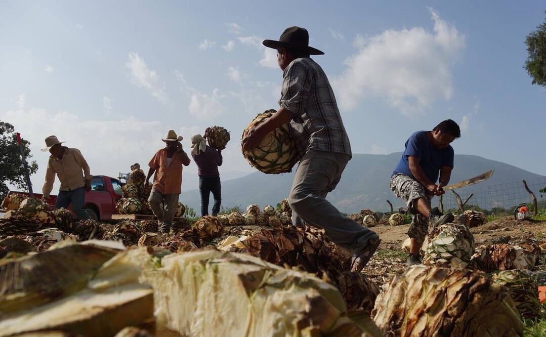 Foto: Archivo/EL UNIVERSAL