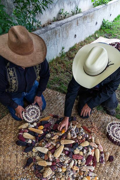 Foto: David Paniagua Guerra