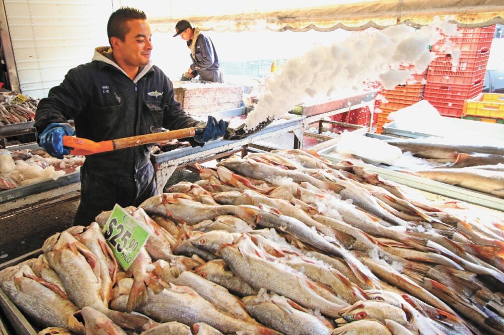 Un comerciante de pescado en el mercado La Nueva Viga arroja hielo con una pala para mantener fresco el producto marino. Foto: CARLOS MEJÍA. EL UNIVERSAL