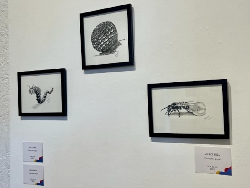 Exponen lo cotidiano y lo efímero de la vida en Casa de la Cultura de Azcapotzalco