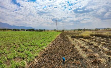 Obispo de Cuernavaca denuncia cobro de piso de hasta 50 mil pesos a productores azucareros