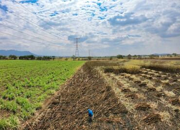Obispo de Cuernavaca denuncia cobro de piso de hasta 50 mil pesos a productores azucareros
