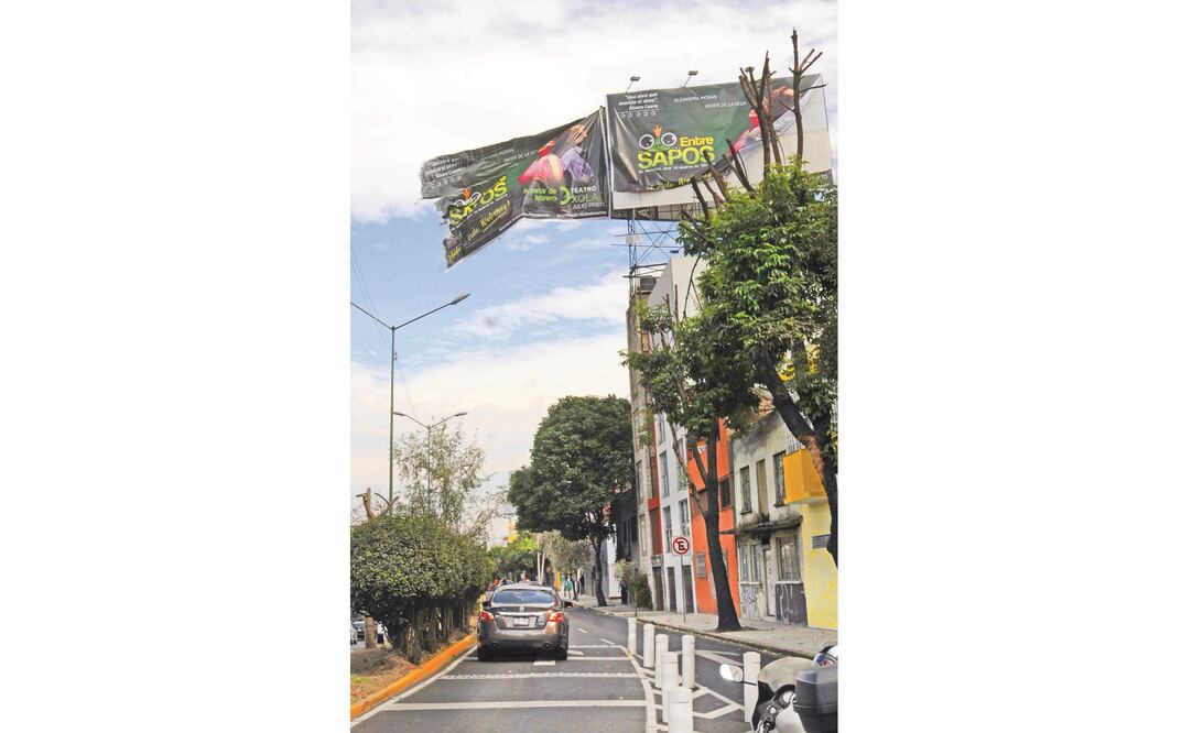 Afectaciones. El viernes la caída de árboles se registró en Azcapotzalco, Benito Juárez, Coyoacán, GAM y Tlalpan. (Especial)