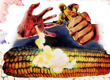 La batalla por erradicar el glifosato