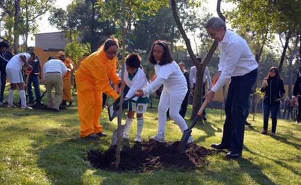 Anuncia Mancera programa para reforestar la ciudad