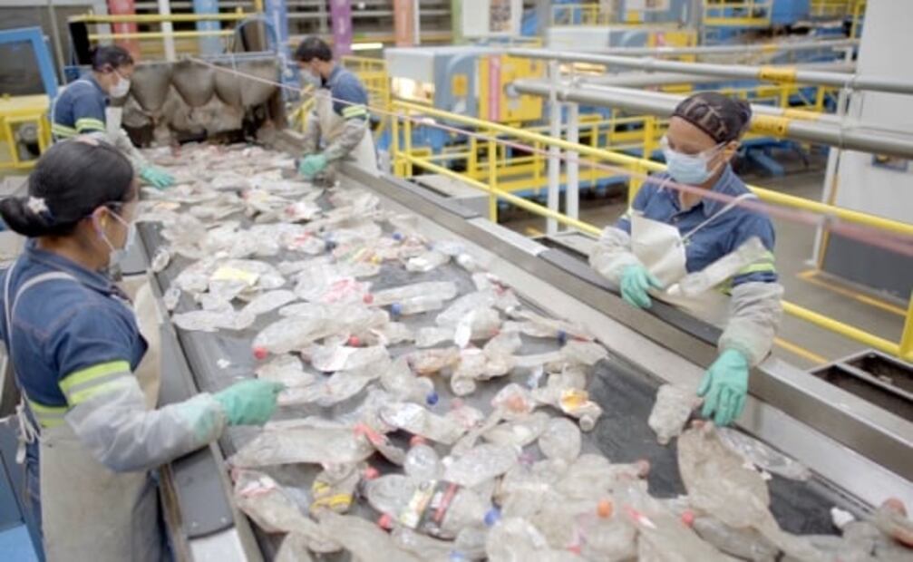 Cadena de reciclaje brinda ingreso económico a más de 35 mil mexicanos